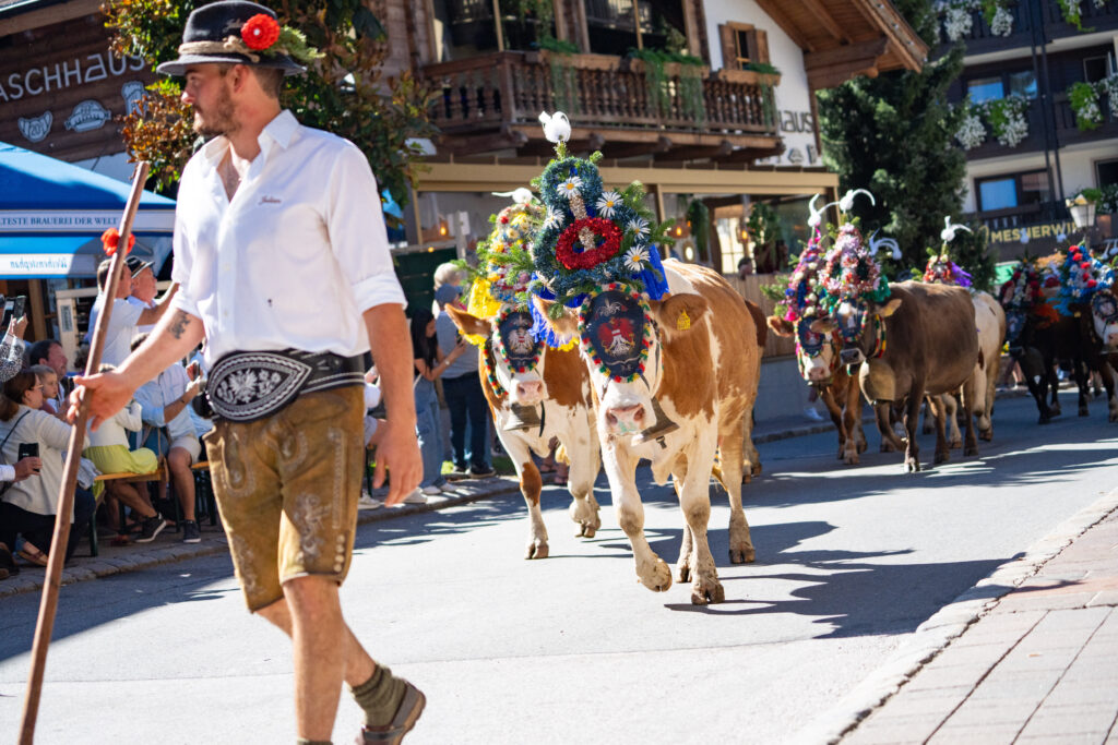 Almabtrieb in Westendorf 