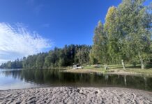 Forest bathing in Sweden: fully clothed with eyes wide open Ragnerud Vandringsdestinasjon