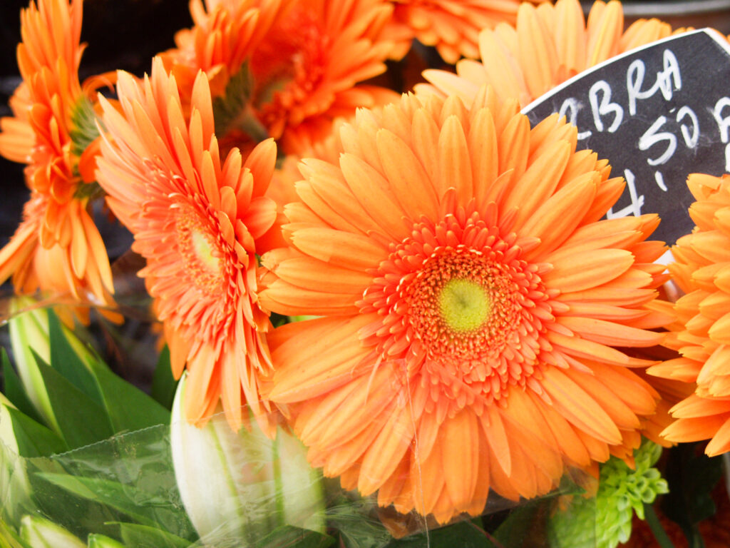 Flower Market